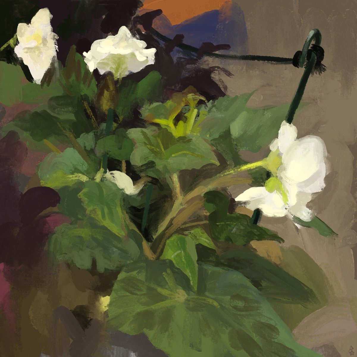 以太灰 | comm open tweet media