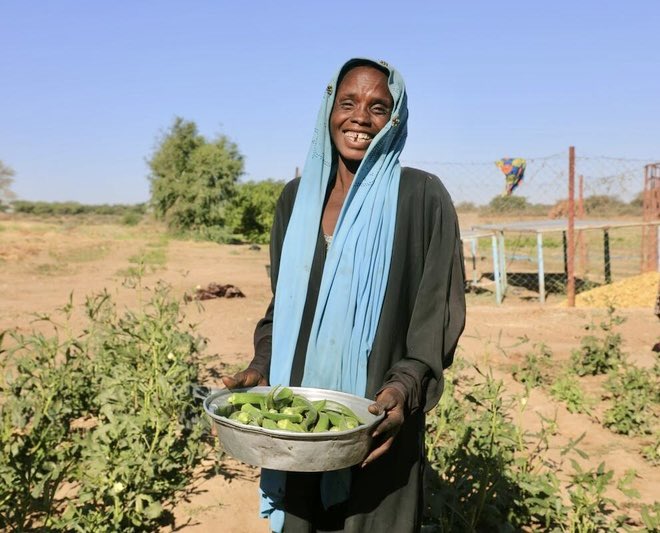WFP_Chad tweet media