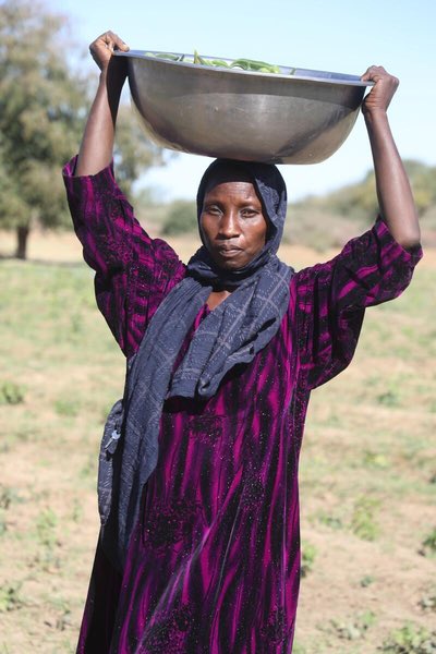 WFP_Chad tweet media