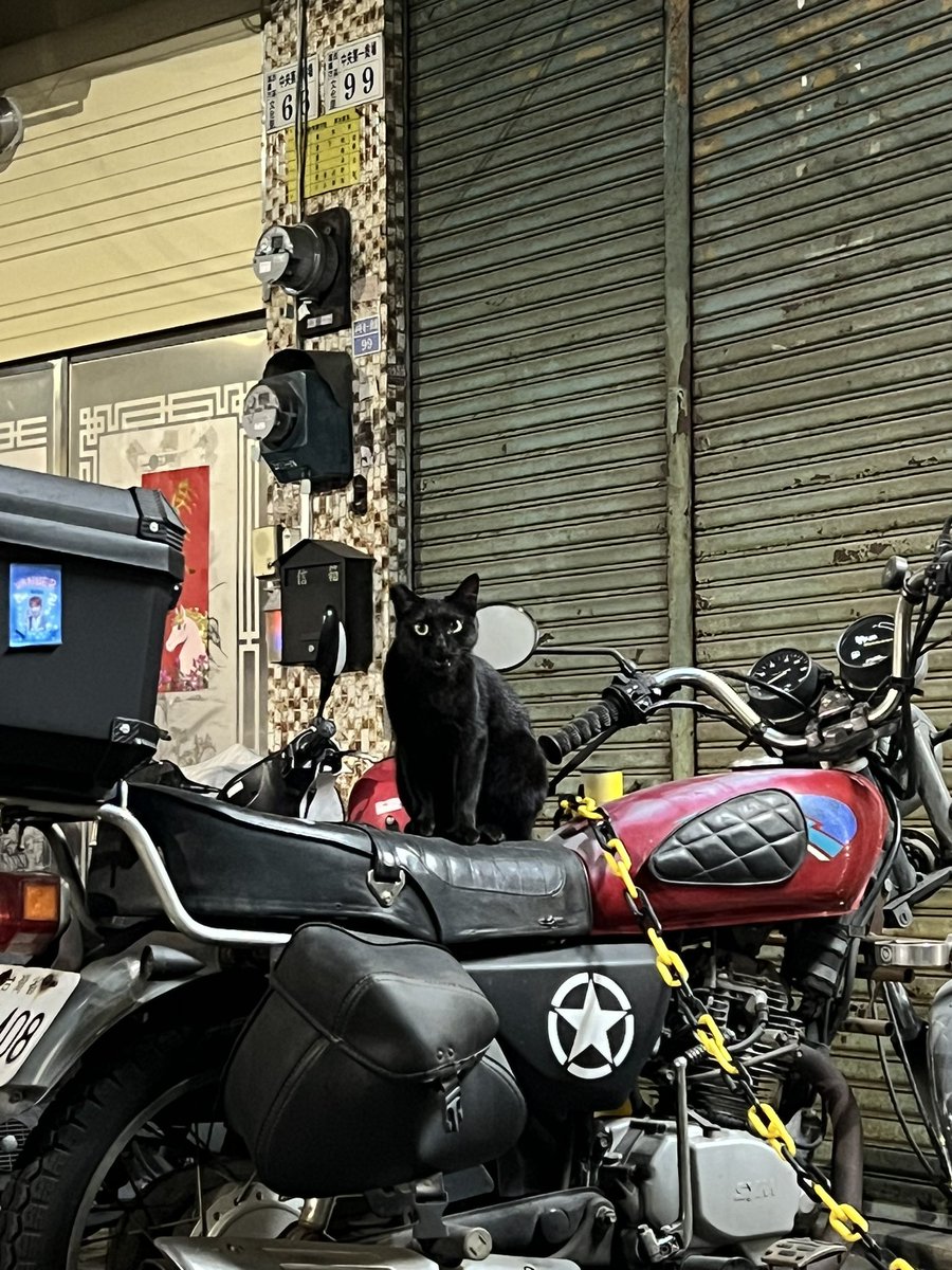 羊枝甘露 tweet media