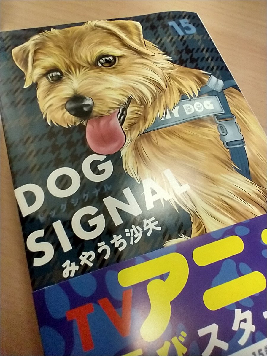 okyokyo2012＠とんとんみー。 tweet media