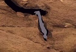 Erin 𓅉 tweet media