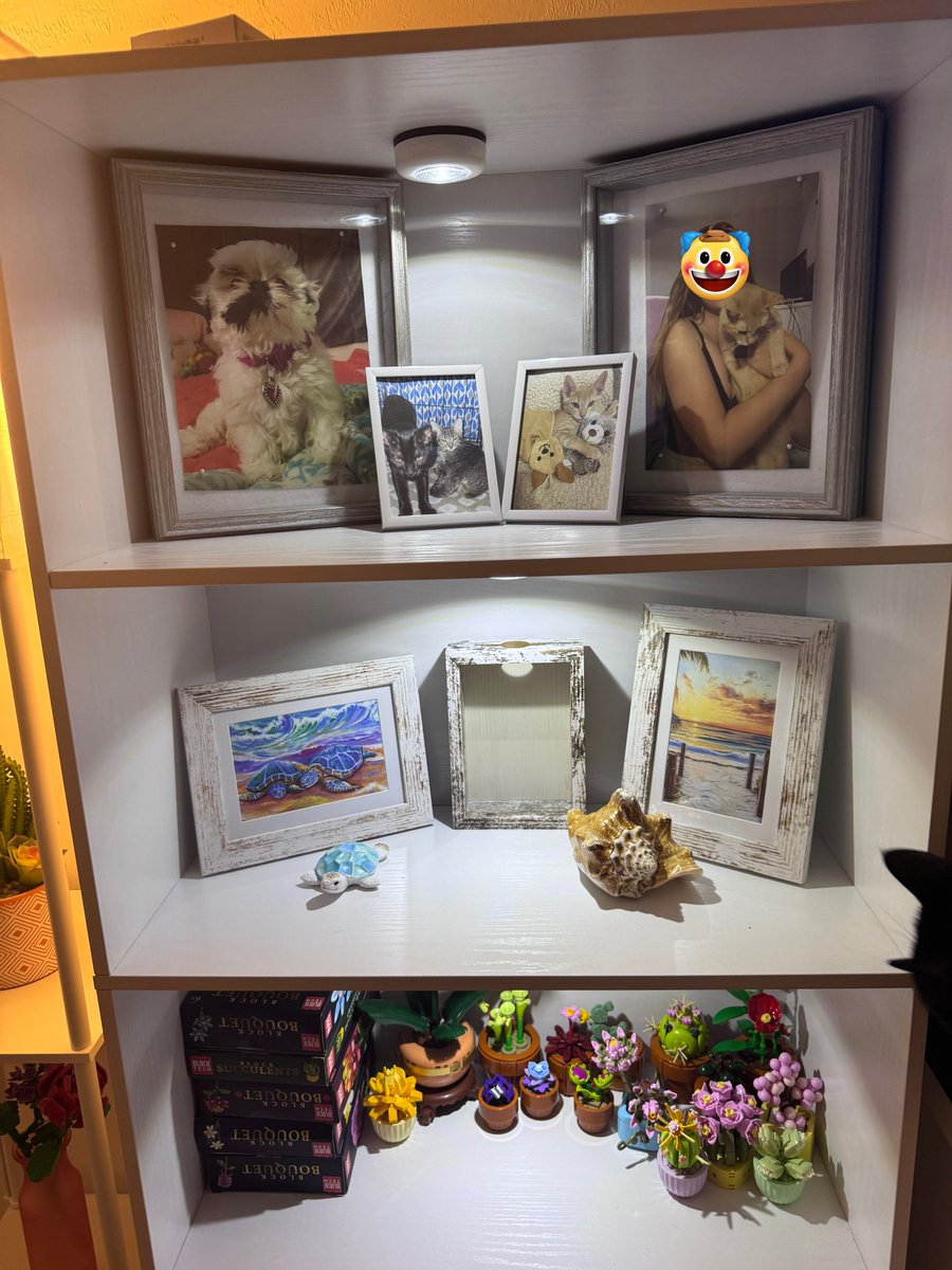 Calilies tweet media