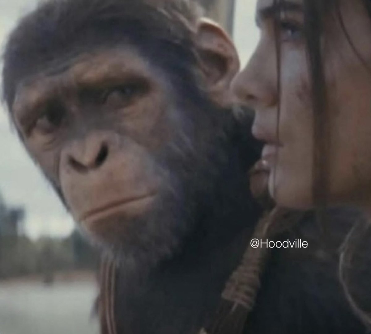 When she says "go talk to your other hœs"

but you lost all of them because of her