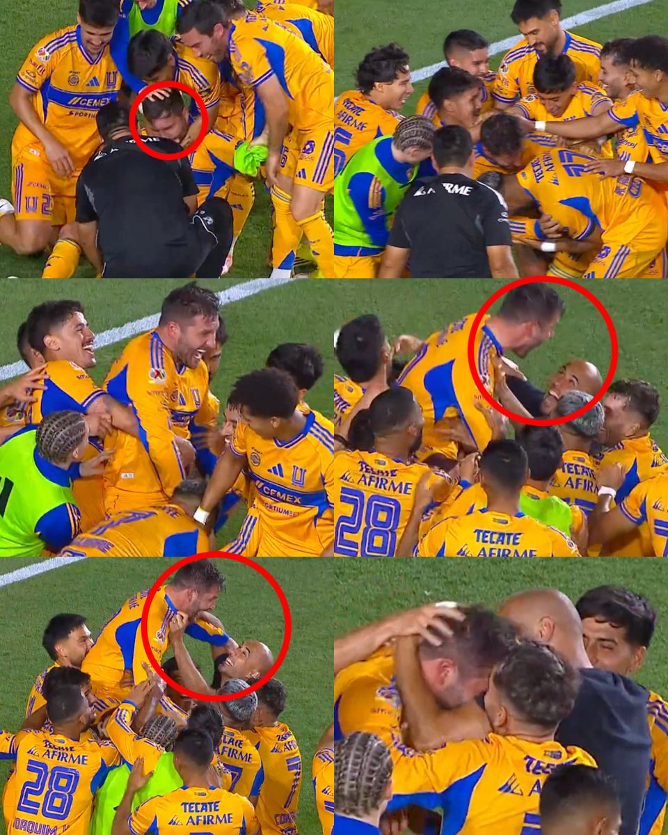 Invictos tweet media