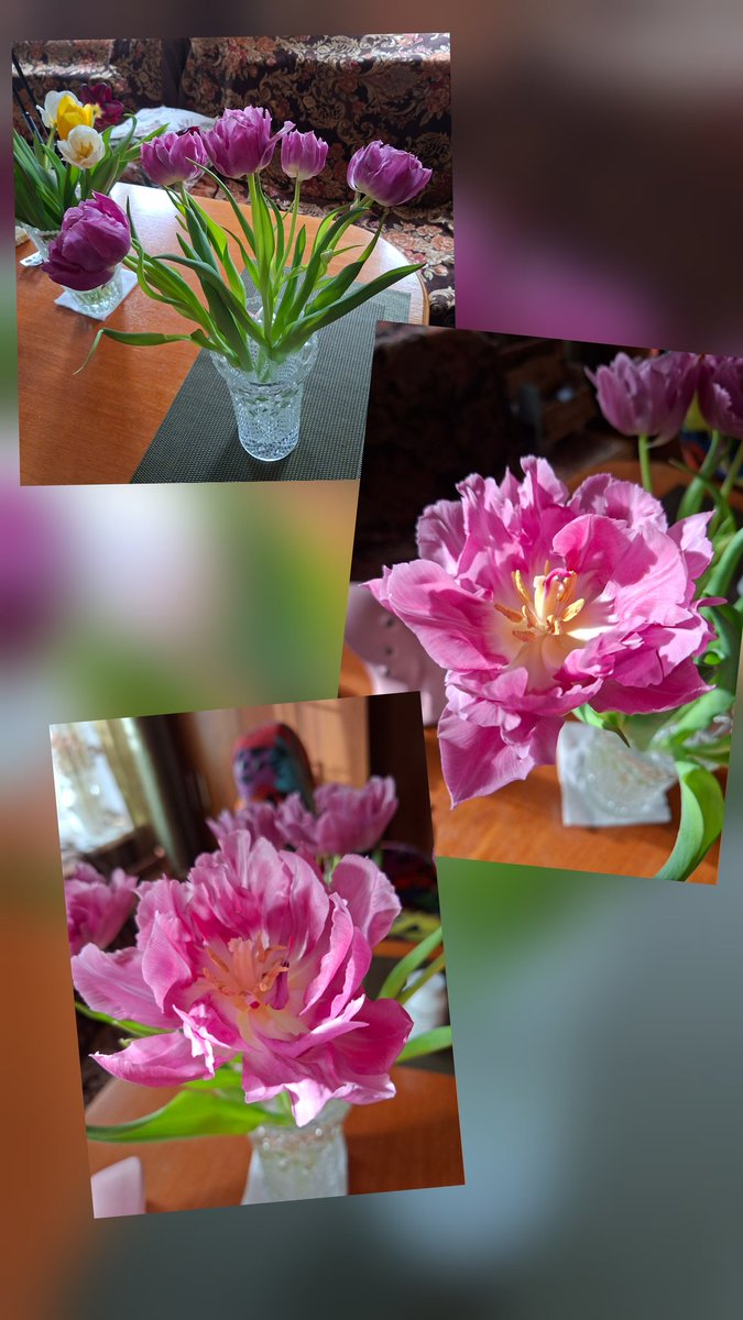 Katusha7738's tweet image. #March8th #SpringHoliday
Flowers for my Mom 😍 from me