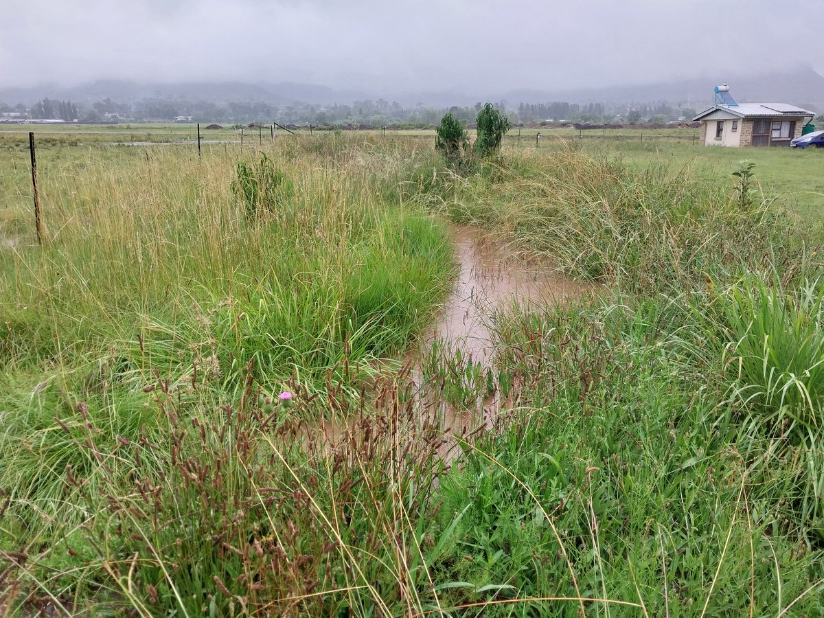 Ivanyles's tweet image. What we learn to do in Permaculture. The awakening of space. #Design #Patterns