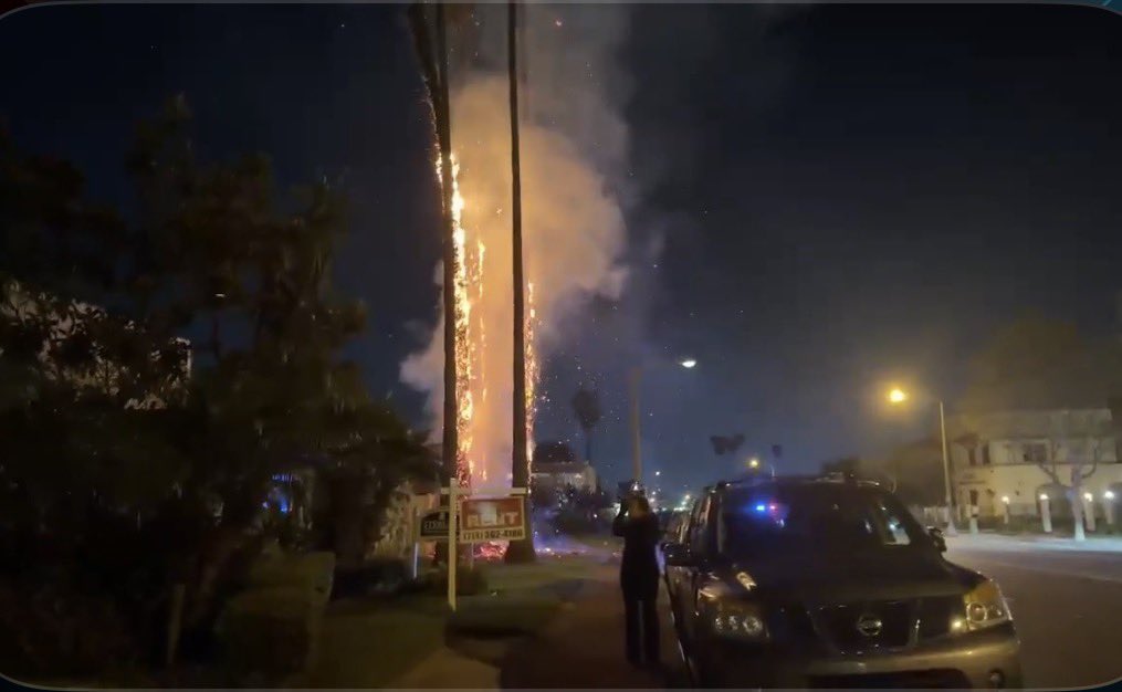 CodeThreeNews's tweet image. 🔥#Fullerton City Fire is on scene in the 2100 block of E Chapman Ave. after several palm tree’s ignited and caught fire.
