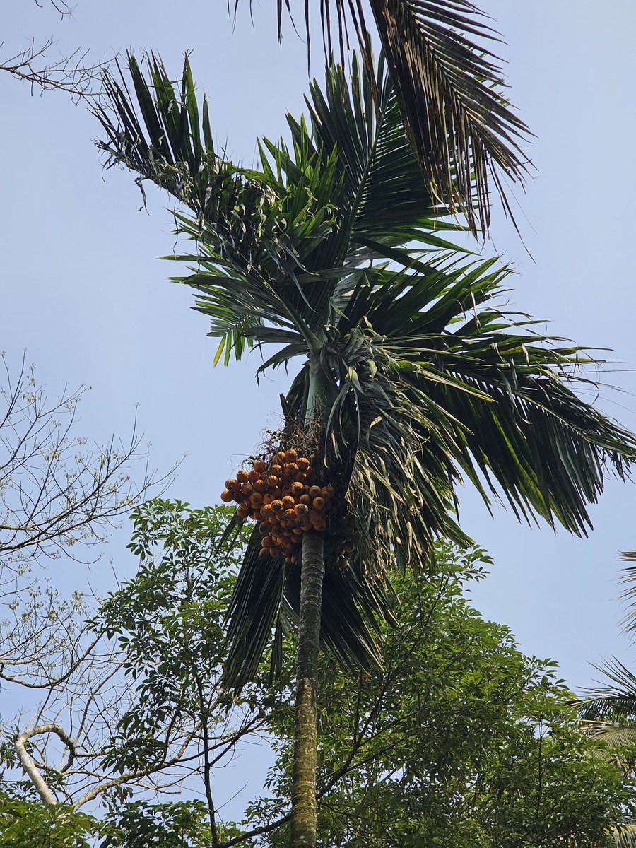 arvindmish's tweet photo. Some pictures simply find you 🙂
#randomphotography #NaturePhotography https://t.co/vp4LidXO5y