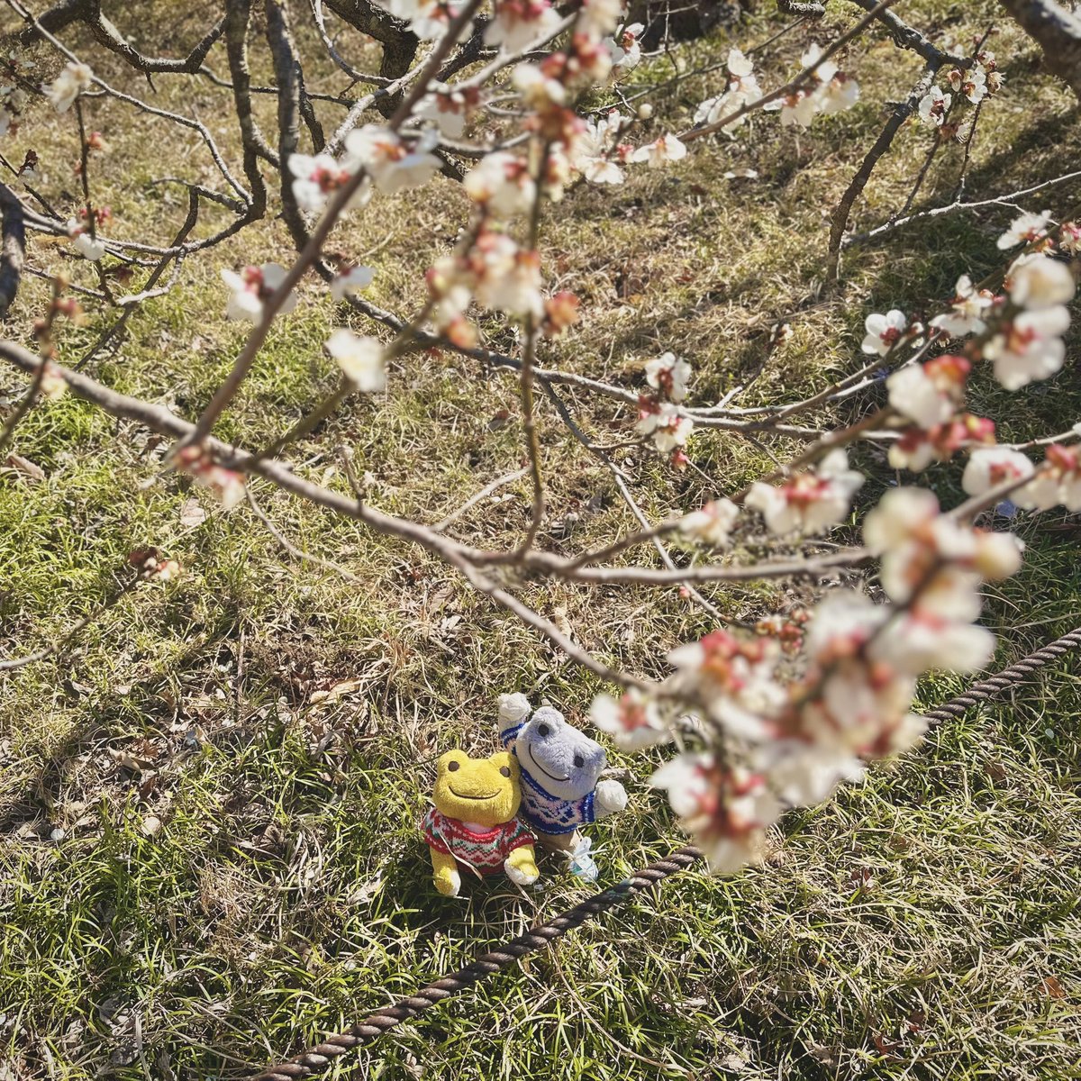 ゆかた tweet media