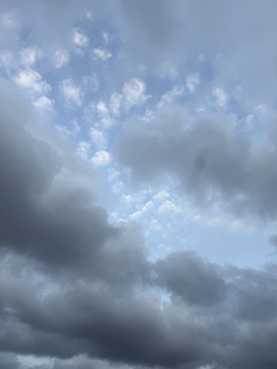 Perfecto tweet media