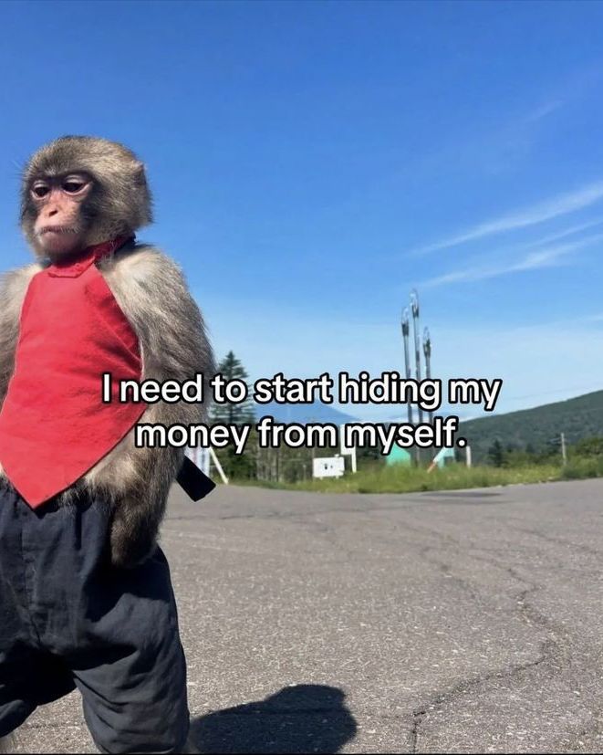 Out Of Context Animals (@animalscontexts) on Twitter photo 