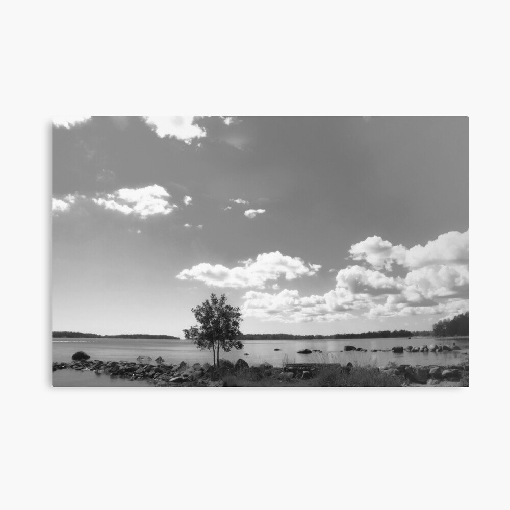 HurmerintaArt's tweet photo. The Lonely Tree By The Sea. Black and white nature photography.

#nature #photography #blackandwhite #wallart #giftidea #peacefulview https://t.co/p5mHbhiHnA https://t.co/6xzEnNy2uZ