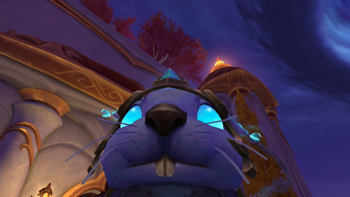 kat | toasty ♡ tweet media