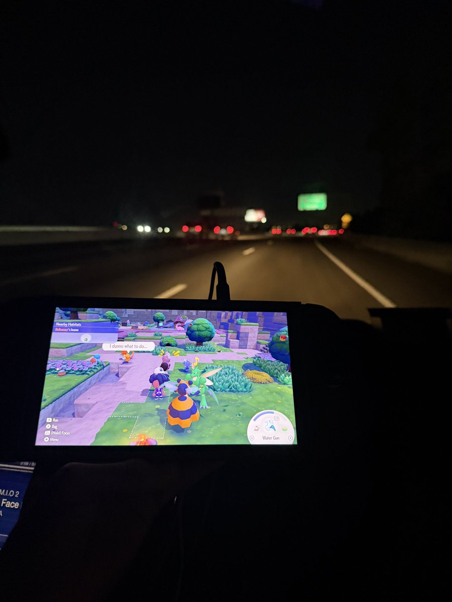 Xaurk 🦇 tweet media