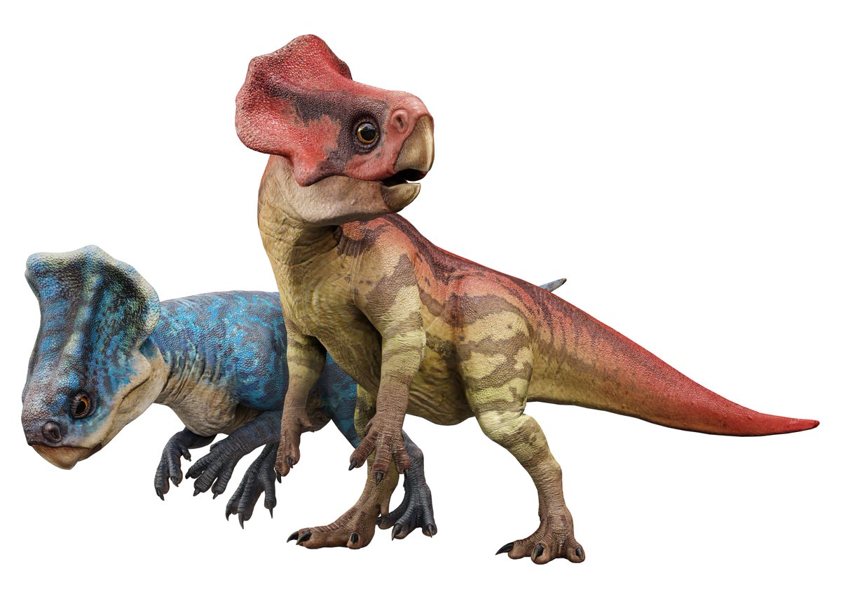 Frogboy Clips tweet media