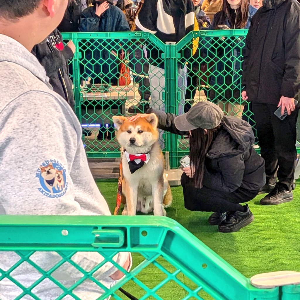 Daijiro Wachi☔ tweet media