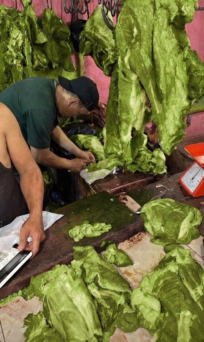 aril piterpen tweet media