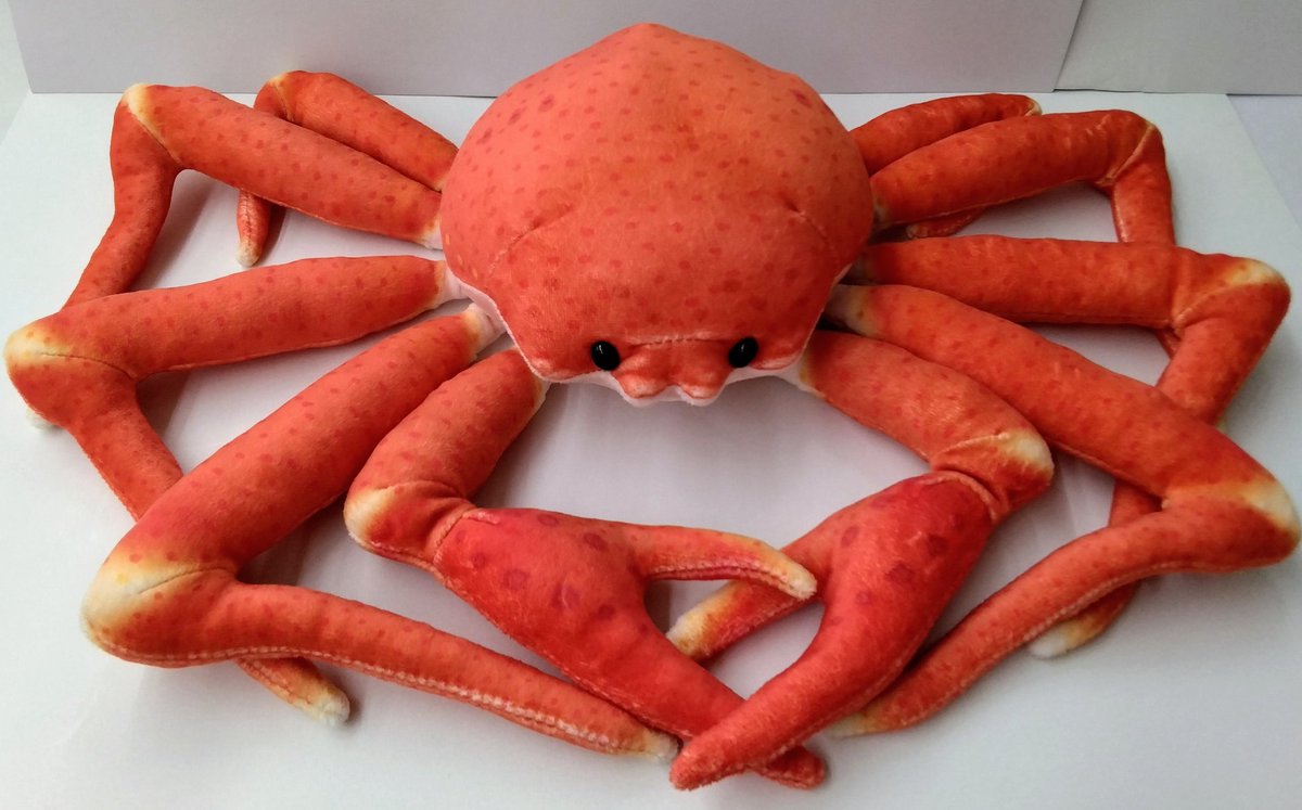 「かにぬいぐるみ」（￥4180）が入荷🌟

かにのぬいぐるみが入ったよ〜📢の声に見に行ったら、私が思ってた感じではなく中々リアルなタイプでした🦀
かにの爪も精巧にできていて、思わず足をバキッといきたくなるほどおいしそうに見えます😁
かにの側で暮らしたい方はぜひお迎えください🏠️🦀✨️