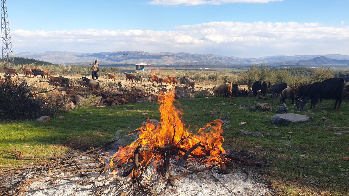 cirkinergun's tweet photo. "kendin bilmez ile kalkıp oturma,
halın zaya verip fikrin yitirme,
bir meclisin üst başında oturma,
şahsına yaraşır yer olmayınca.."

Aşık Sümmani ✍
#Hatay https://t.co/gPGi7tE7lN