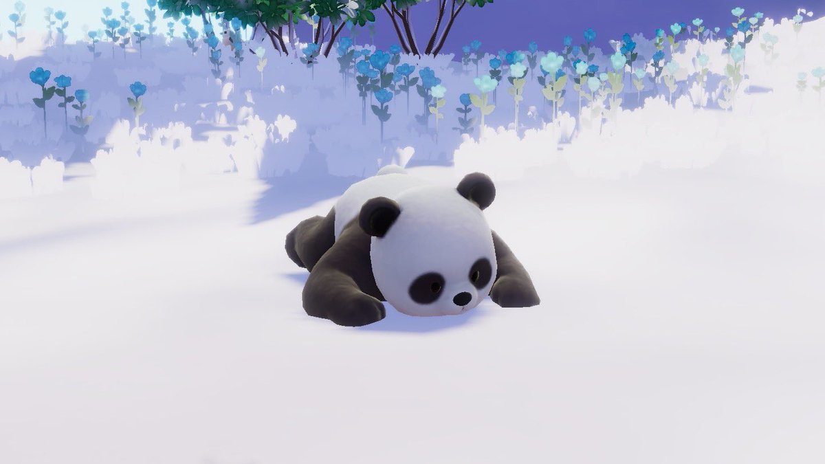 ぽんこつのあちょ tweet media