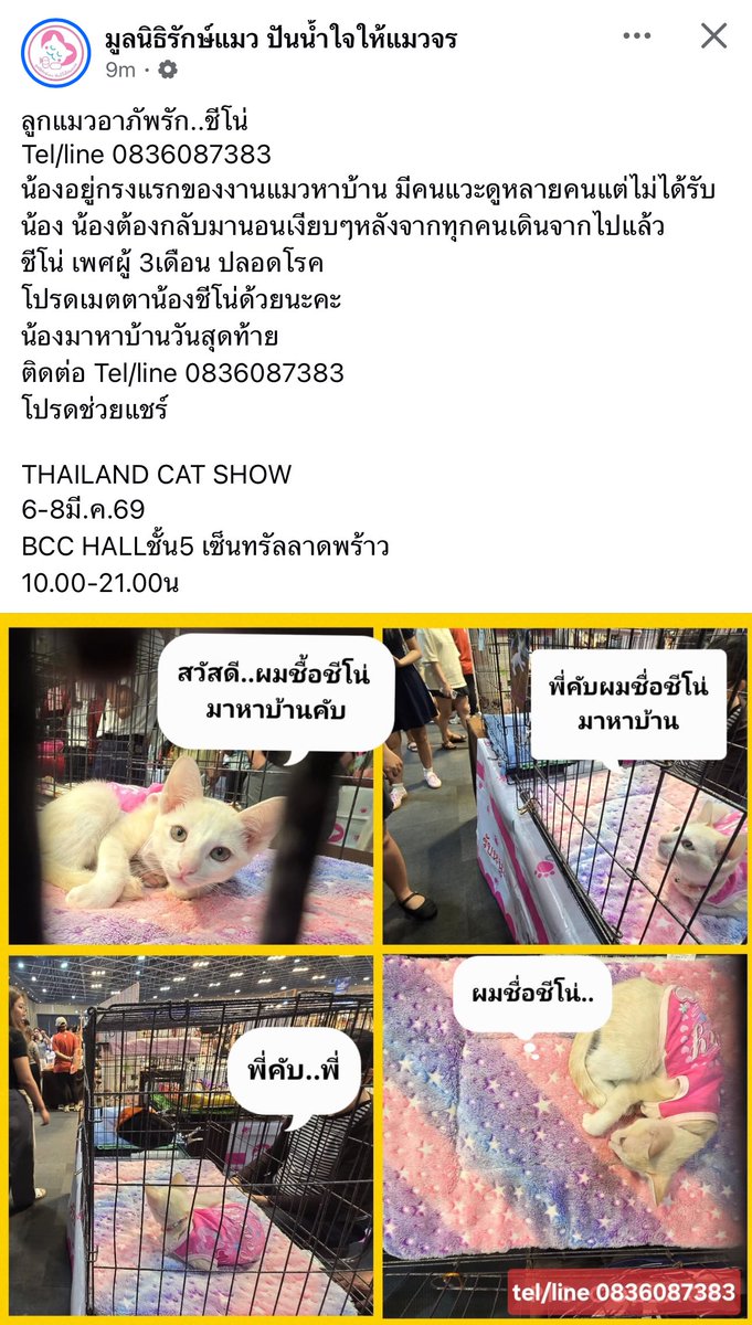 ฝากหน่อยน้า น้องหาบ้านวันนี่วันสุดท้ายแล้วที่เซนลาด ยังไม่มีใครถูกใจน้องเลย 🥺🙏🏻 ใครสนใจติดต่อไปได้นะคะที่เพจนี้