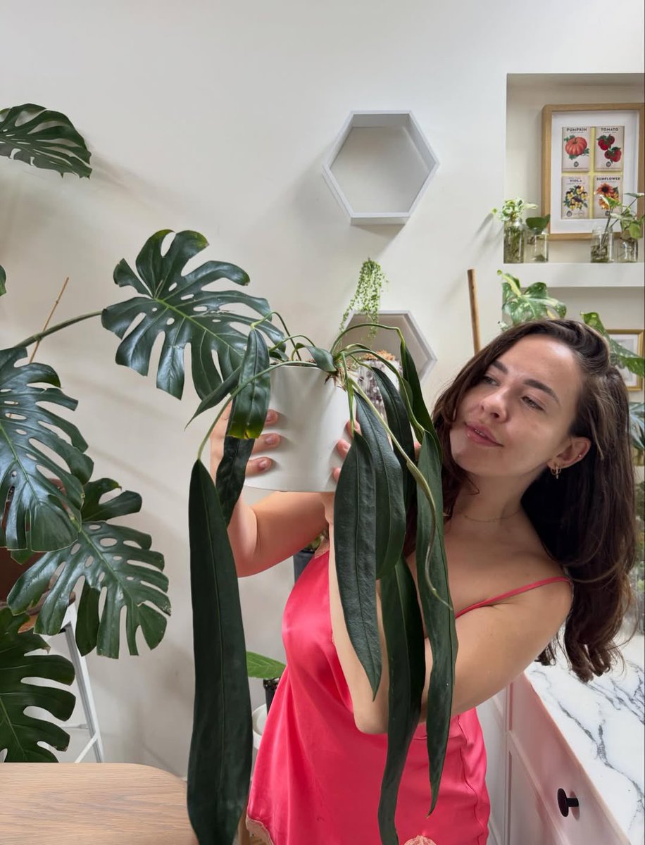 Rubymayofficial tweet media