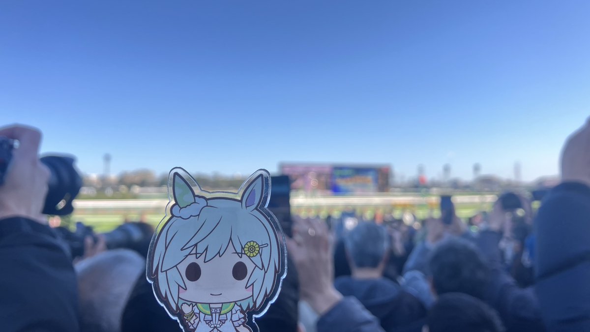 ヨシダミアン tweet media