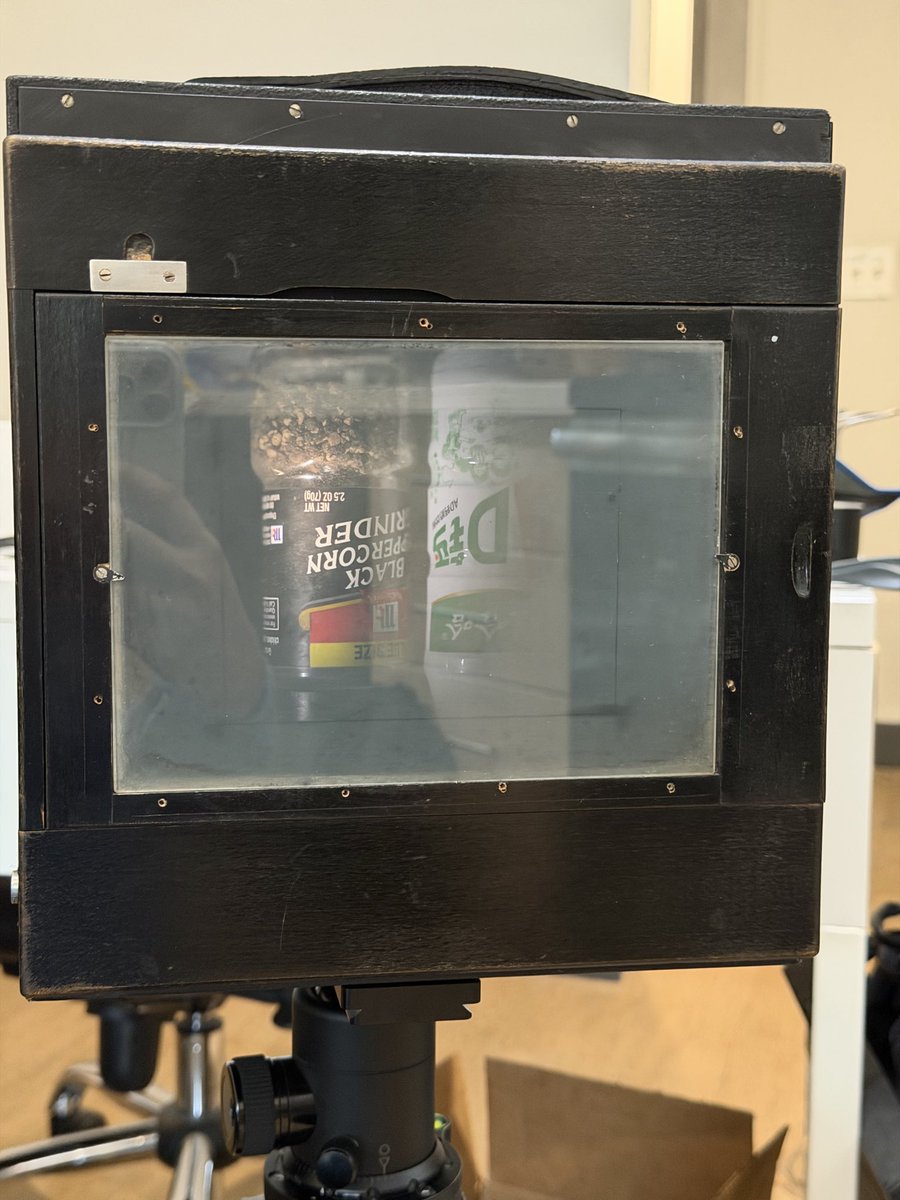 Renga 煉瓦 tweet media