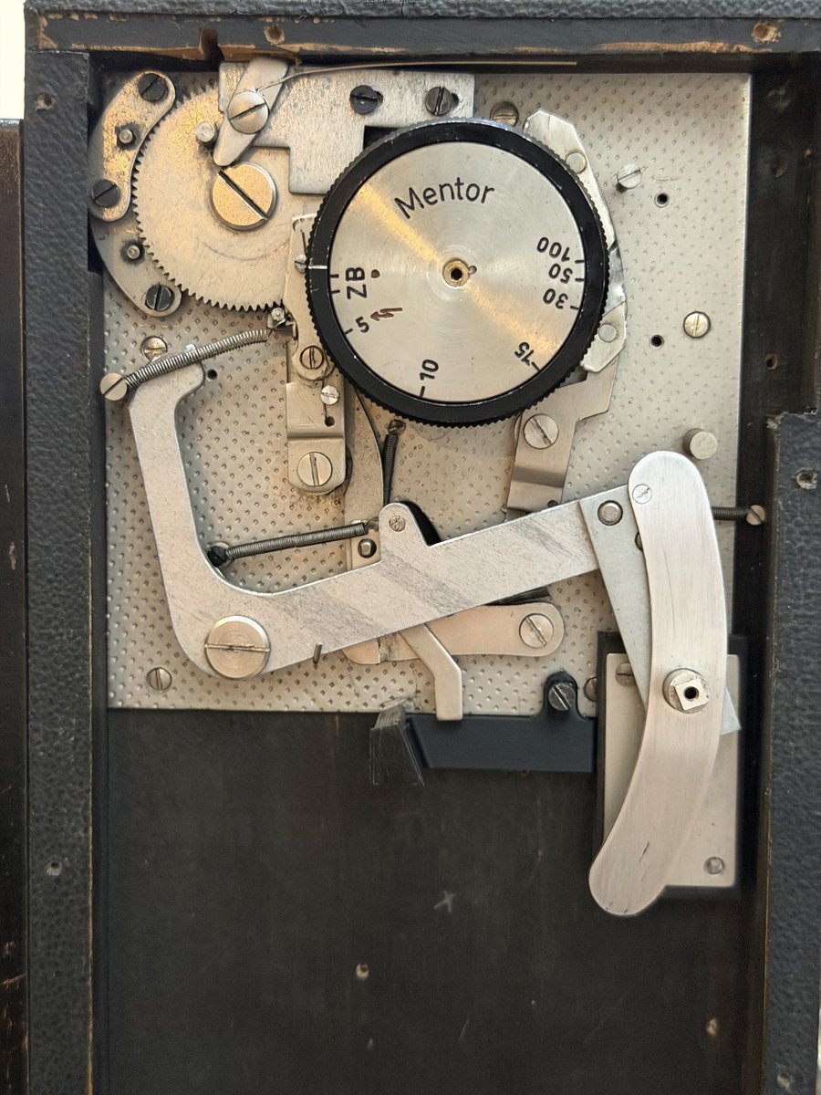 Renga 煉瓦 tweet media