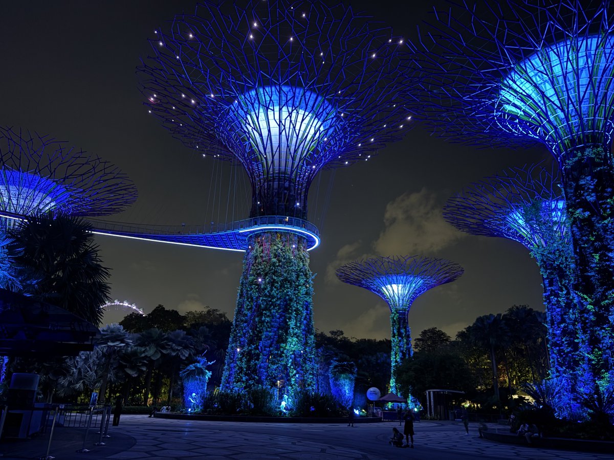 un4__u's tweet photo. Singapore🇸🇬
海外でも広めたいくらい優秀です

@dg_core
#Core_指サック PR
https://t.co/UN4zJdNBty https://t.co/KEdWhW0Ikb