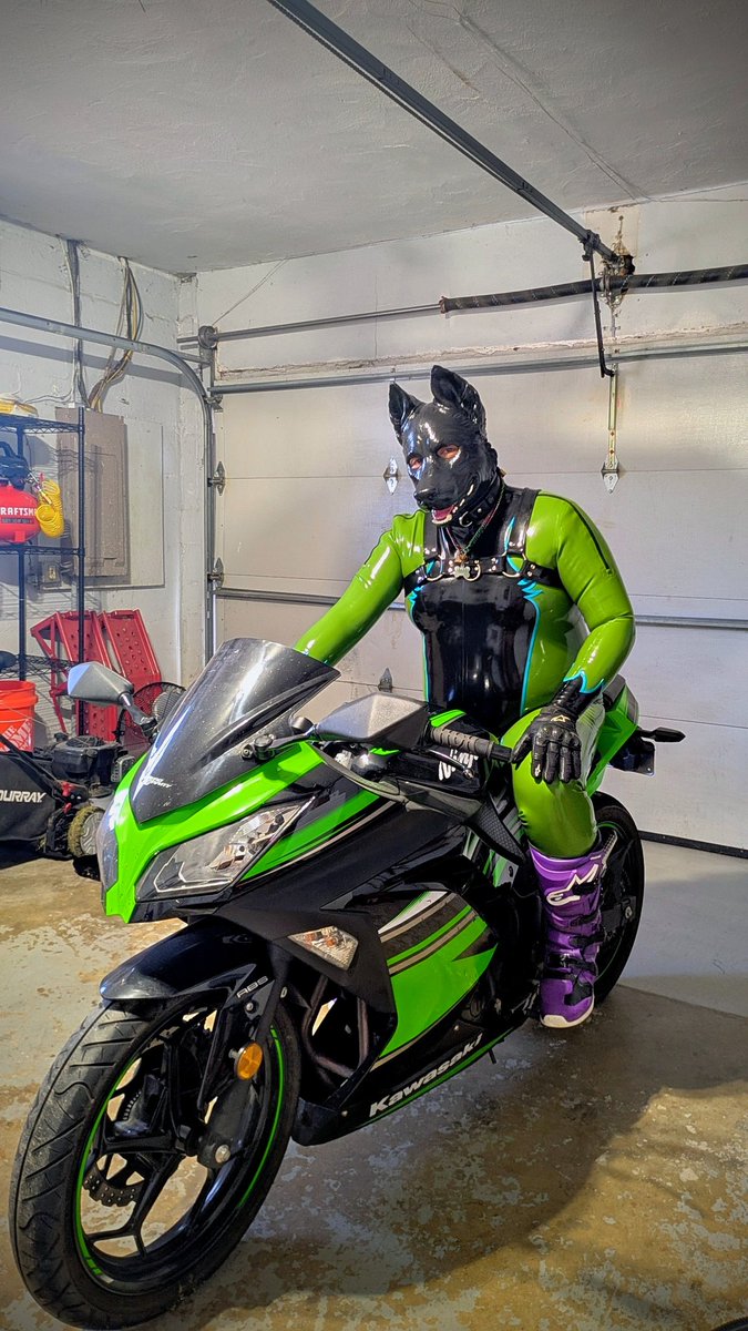 Neo 🔜 tweet media