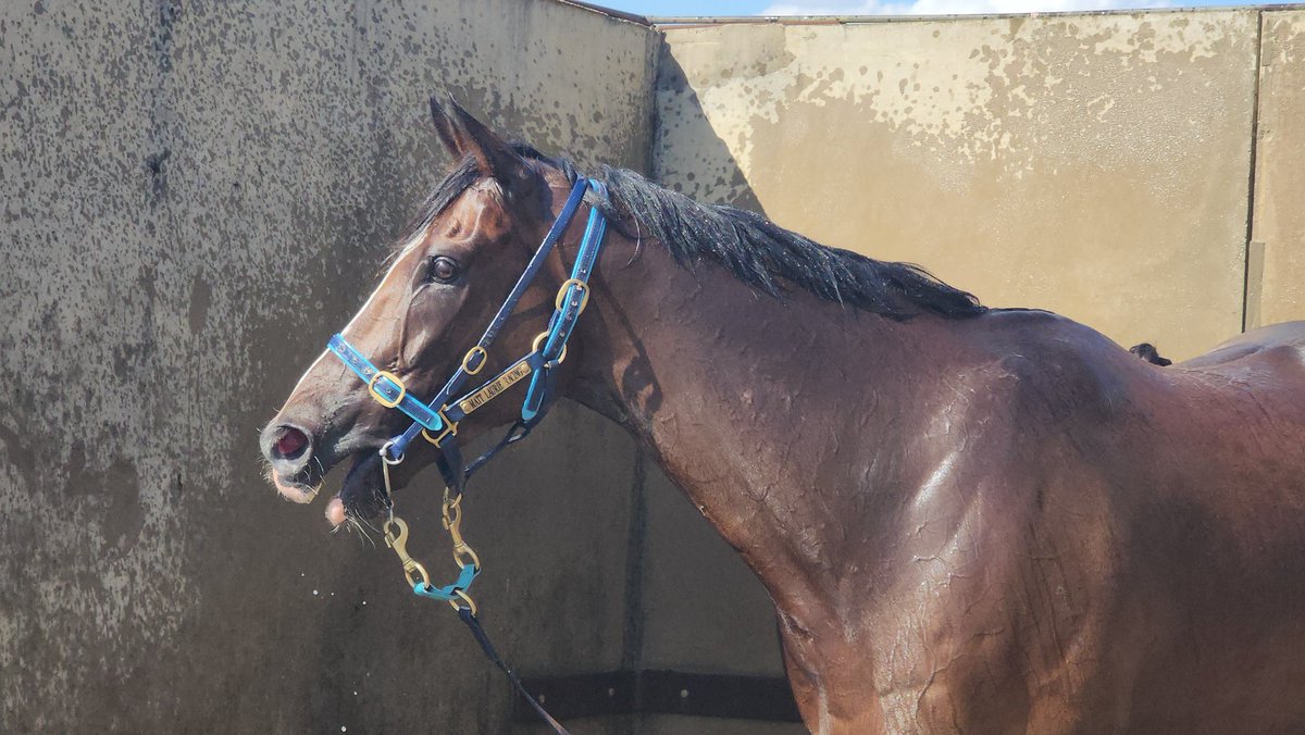 Kristen Manning tweet media