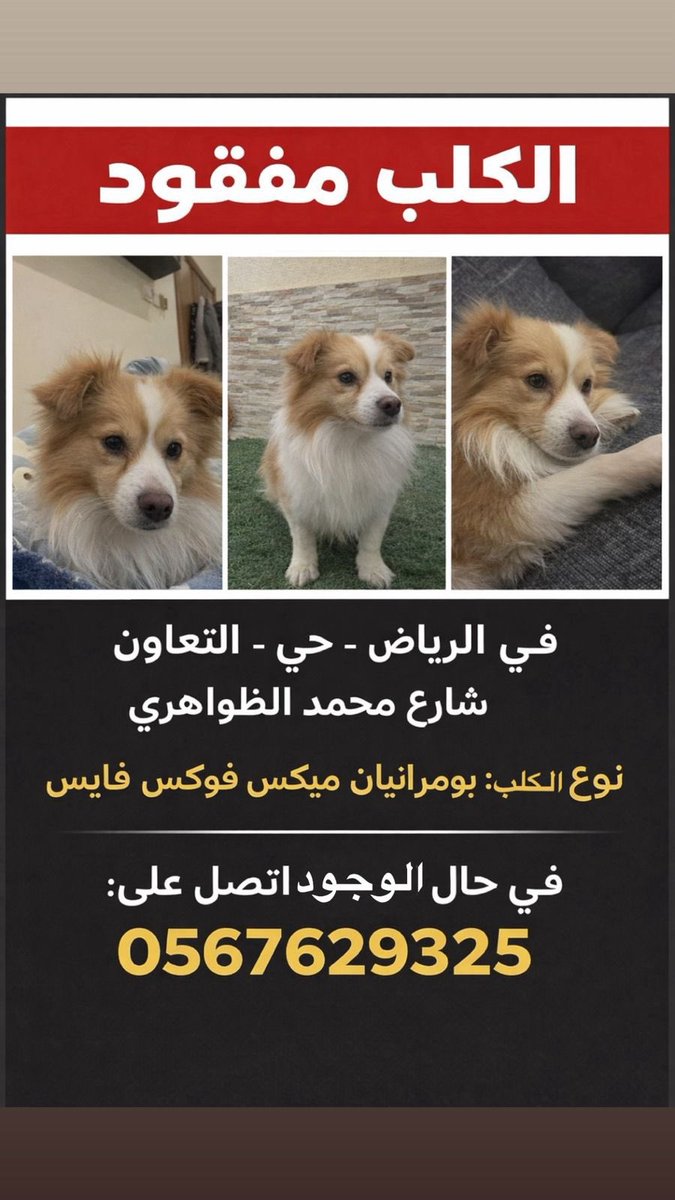#مفقود_في_الرياض