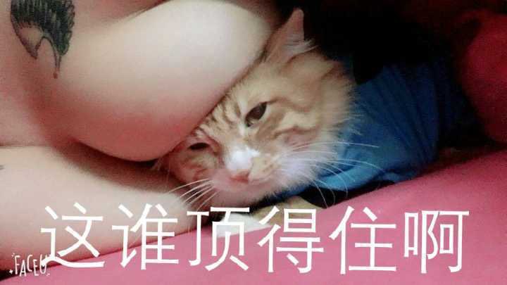 SaltPepper31's tweet photo. @Breeze_eiii 闷死算喜丧🤤 https://t.co/ABzcvqnzxe