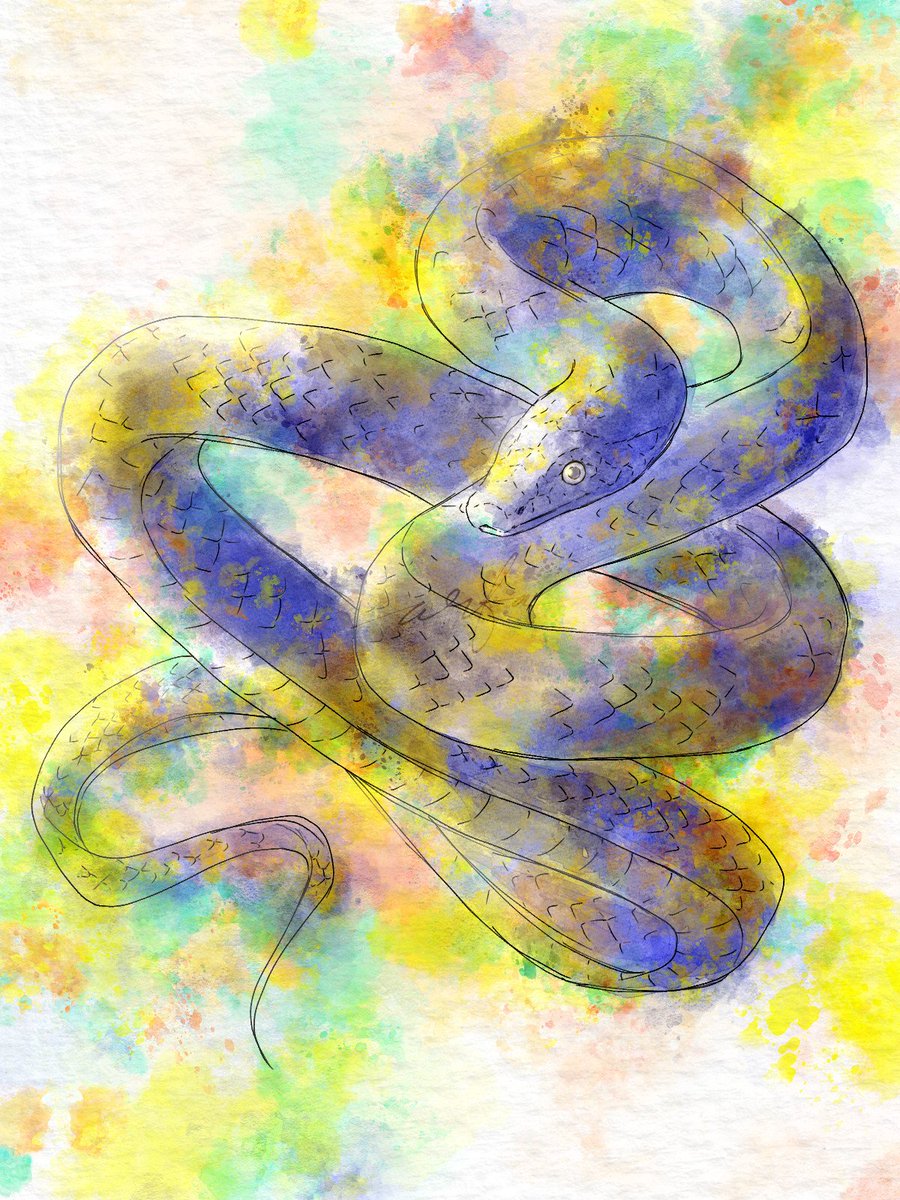 Snake 
Art by me, #digitalart 2026
Digital watercolor 
#art #illustration