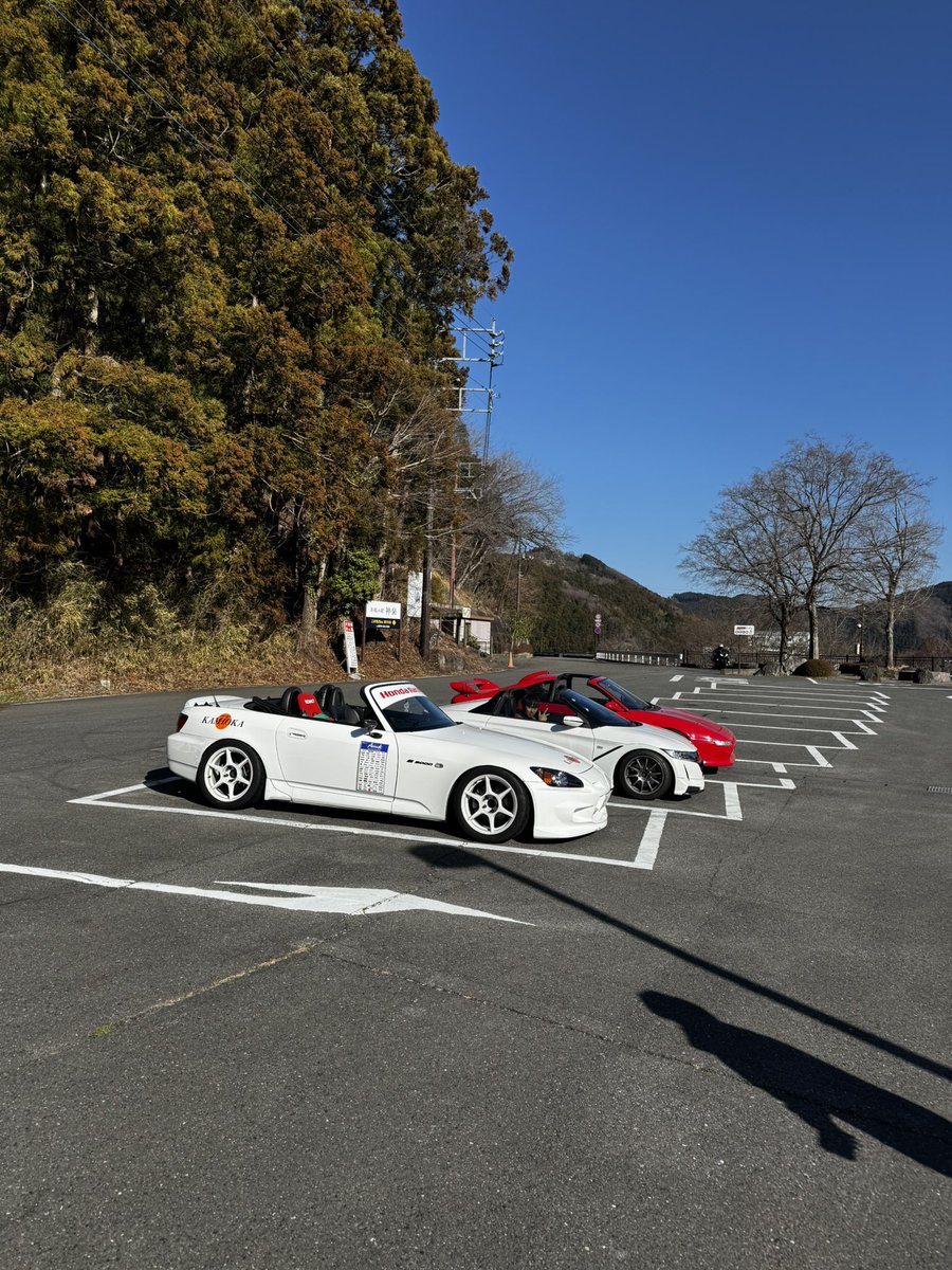 かつどん tweet media