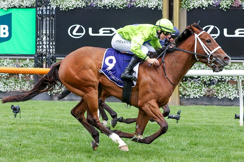 Magic Millions tweet media