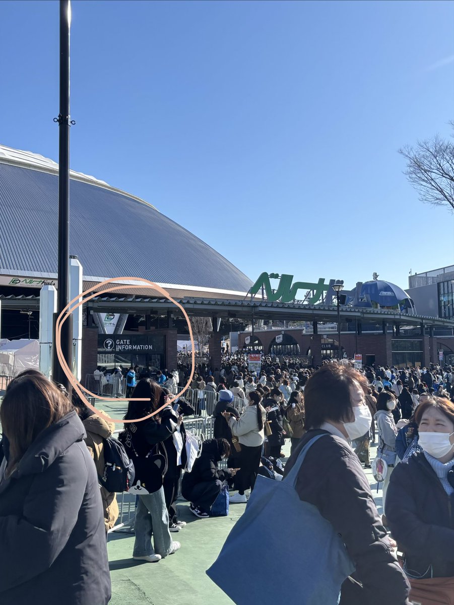 とんがり tweet media