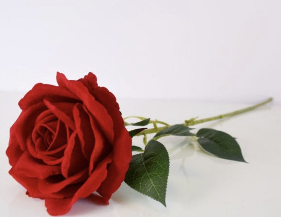 Stolar Mile tweet media