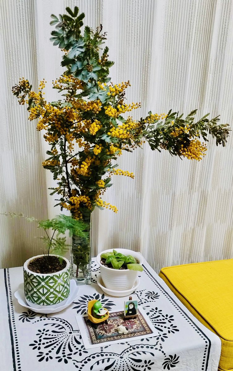 国際女性デー❣️ミモザの日❣️ラマダン18日目❣️
というこの日💛
「女性の皆様、より楽しい、より元気、より活躍して何も負けない日々を」🤲

レッスン詳細とお申し込みは👇
linktr.ee/keyif

#ラマダン　#トルコ料理
#トルコ家庭料理
#ミモザの日 
#国際女性デー