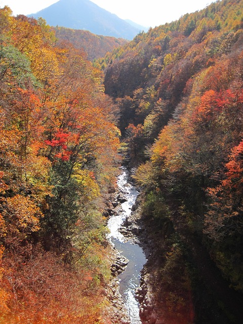 Jennifer Dilling tweet media