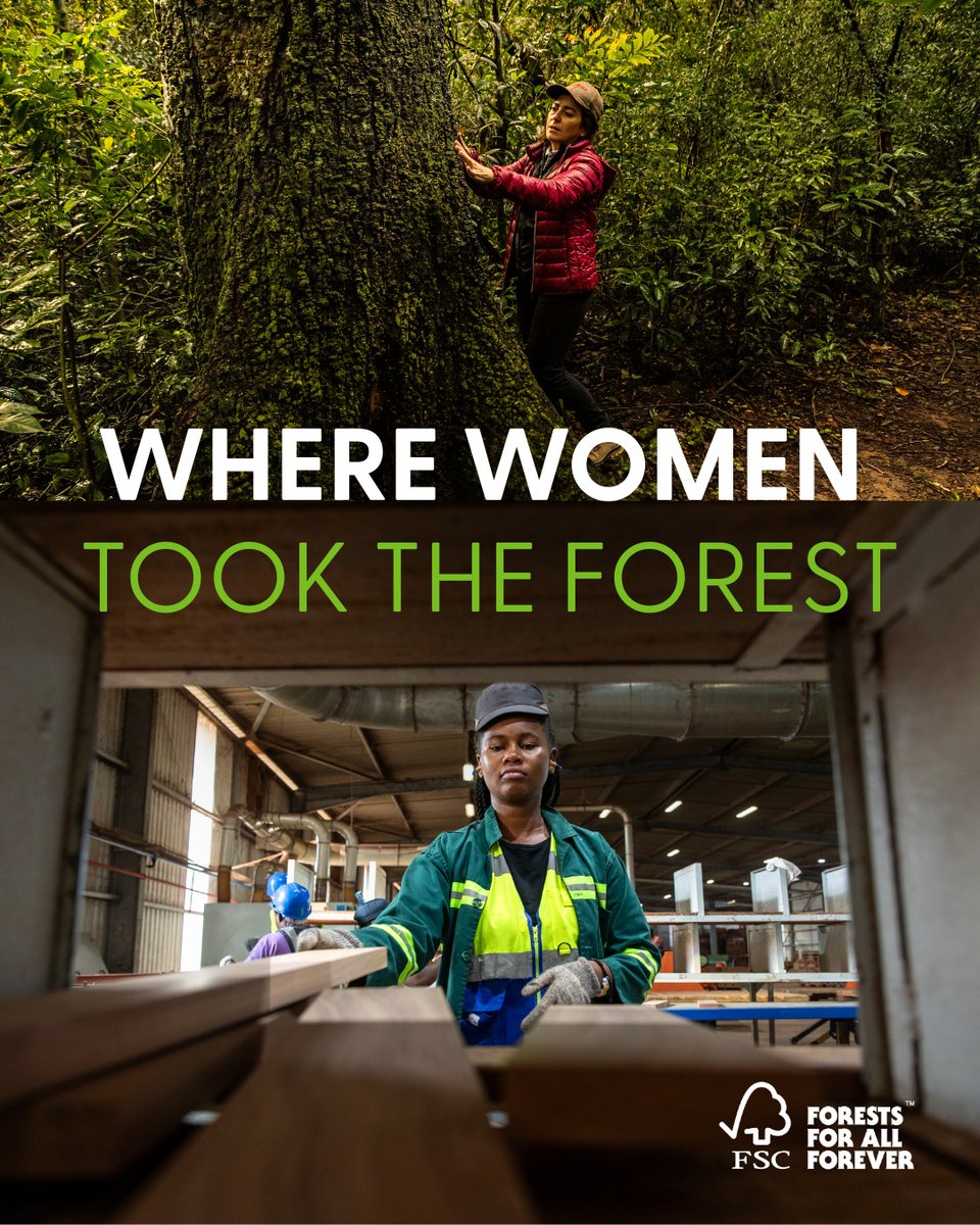 Forest Stewardship Council - Eastern Africa tweet media