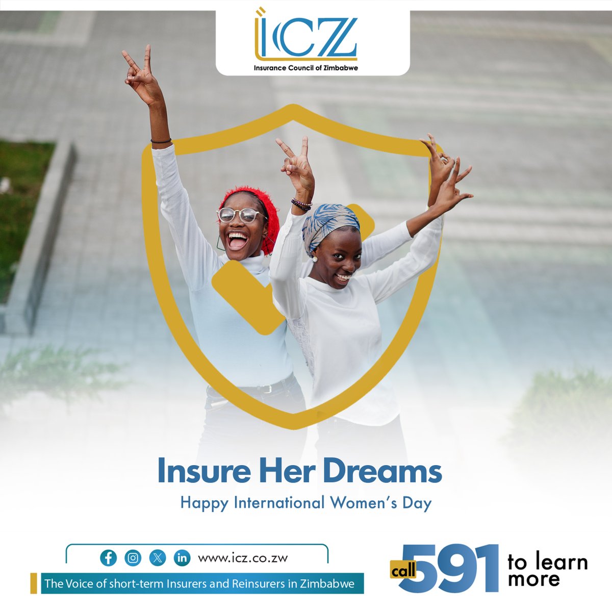 Insurance Council of Zimbabwe tweet media