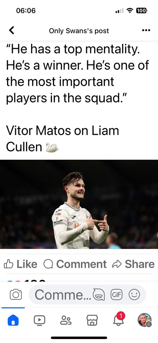 Mark Rees tweet media