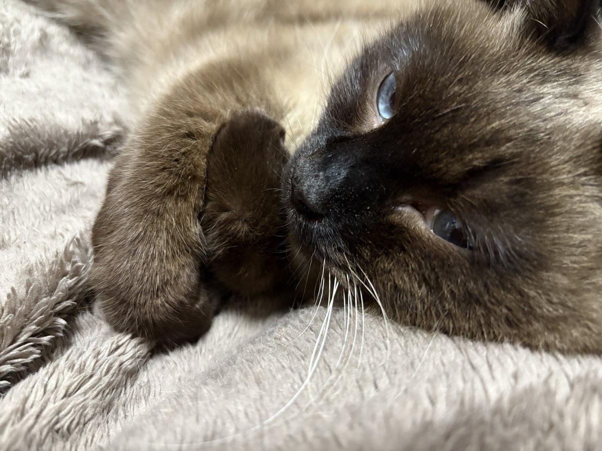 ぎゅってしてる