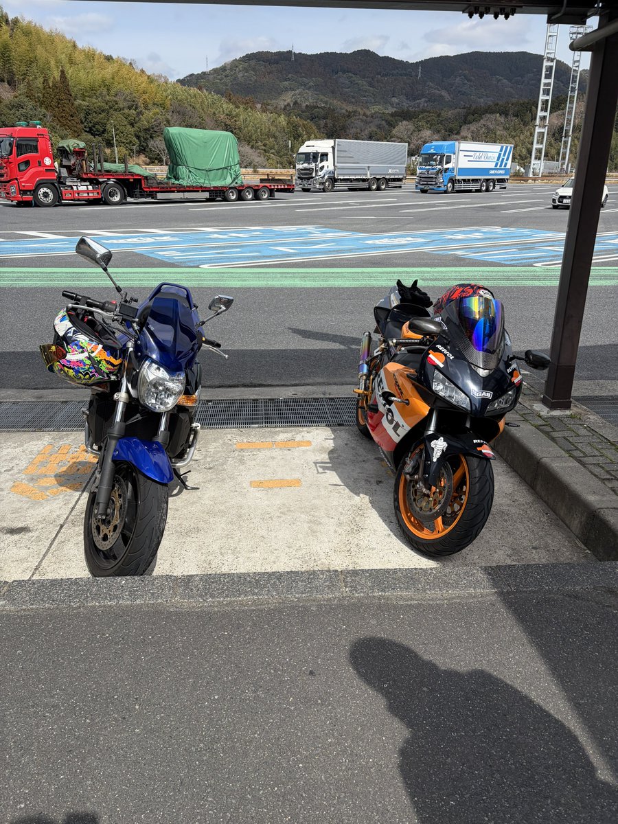 mrr_0811's tweet photo. 冬眠明け https://t.co/k5kVBJIxaR
