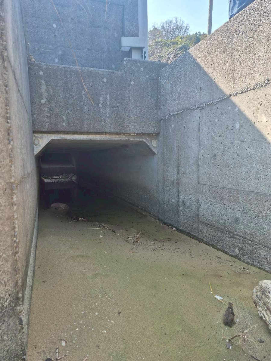 GWS_moriagetai's tweet image. ロケーション紹介
白浜海水浴場 その1

テトラポットに上るのは危険ですので禁止します

#GWS