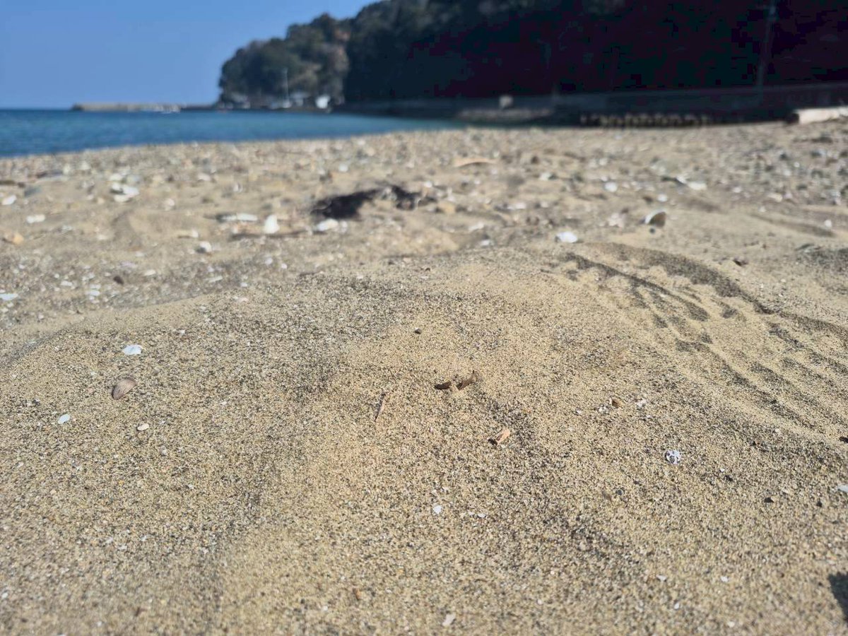 GWS_moriagetai's tweet image. ロケーション紹介
白浜海水浴場 その1

テトラポットに上るのは危険ですので禁止します

#GWS