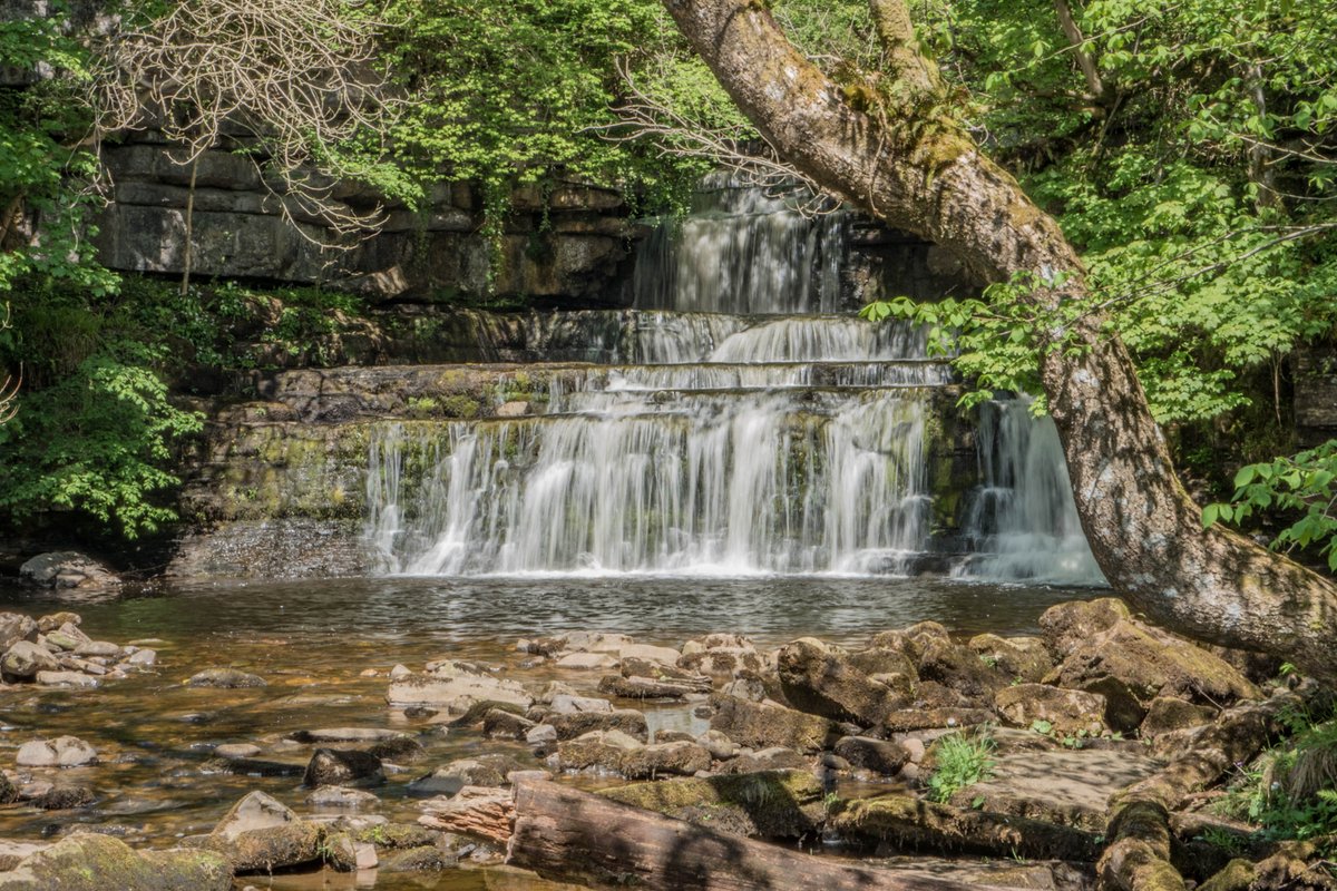 yorkshire_dales's tweet image. Morning, happy Sunday 😊 Cotter Force is a small but picturesque falls near Hawes. A short, stile‑free accessible path leads from a lay‑by on the A684 directly to the falls.

📸 Andy Kay | #YorkshireDales #Waterfalls